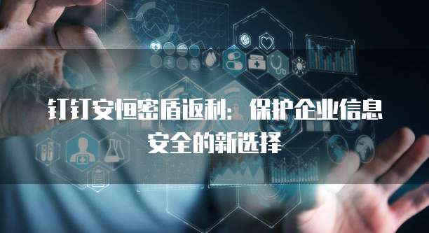 钉钉安恒密盾返利：保护企业信息安全的新选择