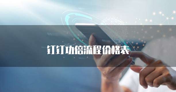钉钉功倍流程价格表