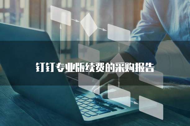 钉钉专业版续费的采购报告