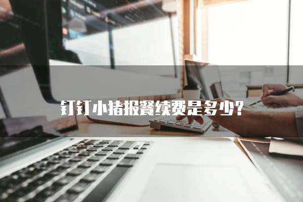 钉钉小猪报餐续费是多少？