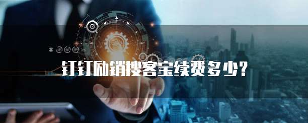 钉钉励销搜客宝续费多少?
