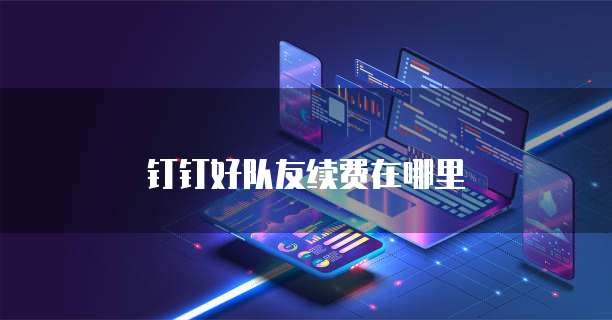 钉钉好队友续费在哪里