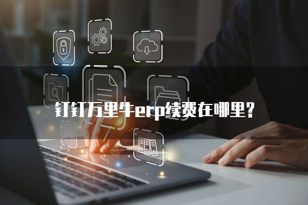 钉钉万里牛erp续费在哪里?