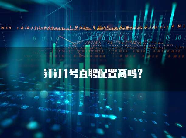 钉钉1号直聘配置高吗?
