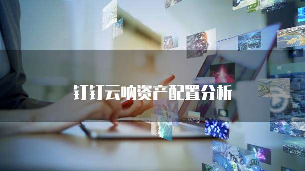 钉钉云呐资产配置分析