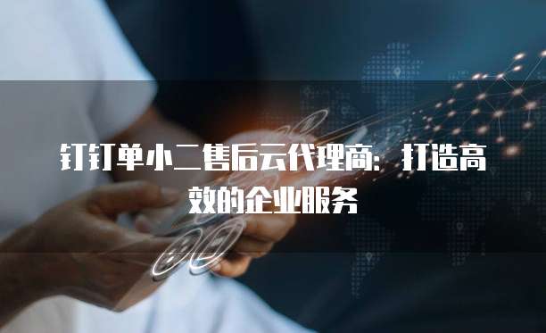 钉钉单小二售后云代理商:打造高效的企业服务