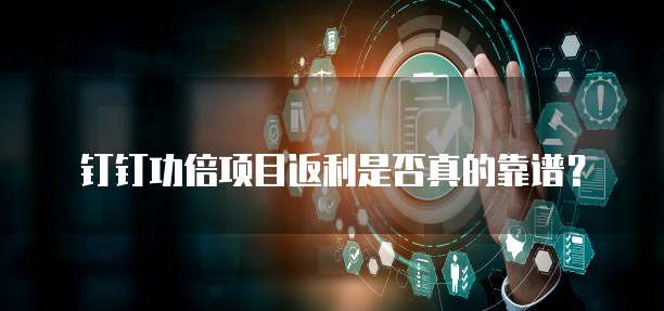 钉钉功倍项目返利是否真的靠谱？