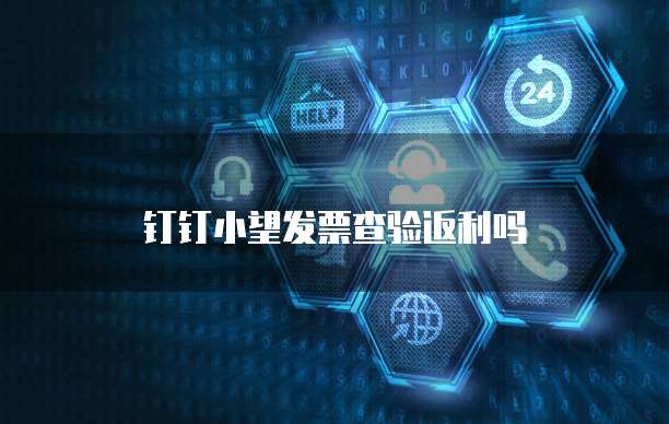 钉钉小望发票查验返利吗