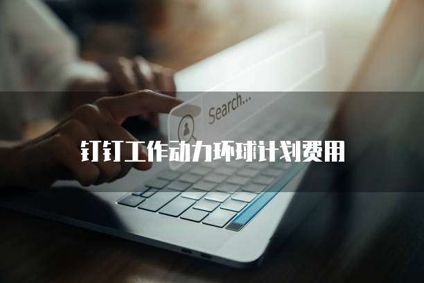 钉钉工作动力环球计划费用