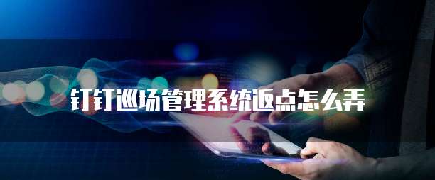 钉钉巡场管理系统返点怎么弄