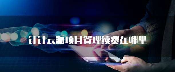 钉钉云派项目管理续费在哪里