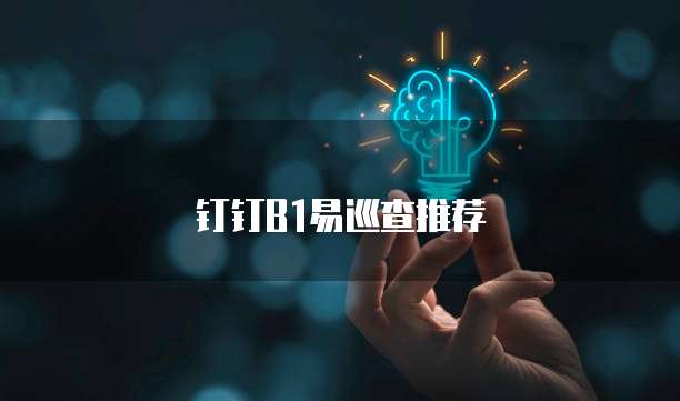 钉钉B1易巡查推荐