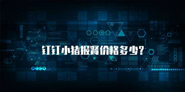 钉钉小猪报餐价格多少？