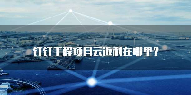 钉钉工程项目云返利在哪里?