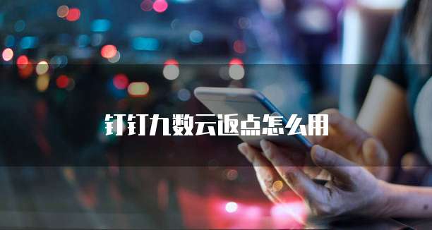 钉钉九数云返点怎么用