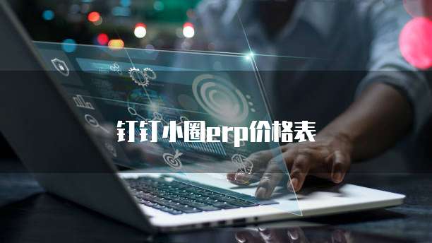 钉钉小圈erp价格表