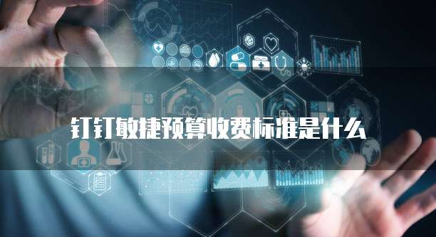 钉钉敏捷预算收费标准是什么