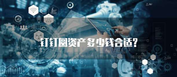 钉钉圆资产多少钱合适?