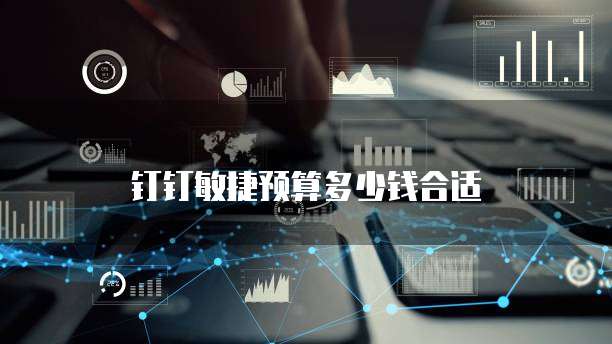 钉钉敏捷预算多少钱合适