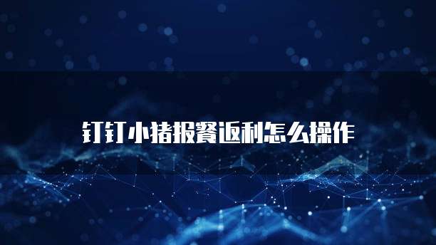 钉钉小猪报餐返利怎么操作