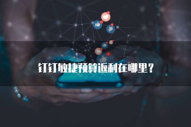 钉钉敏捷预算返利在哪里?