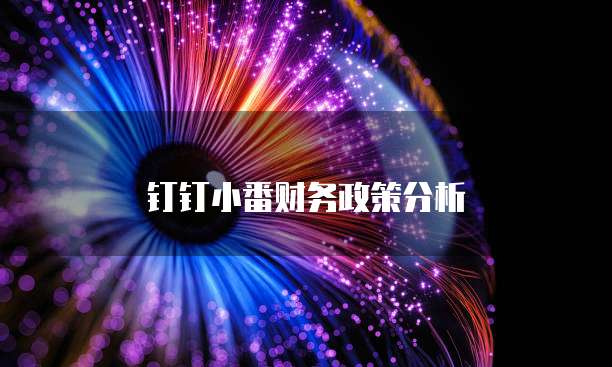 钉钉小番财务政策分析