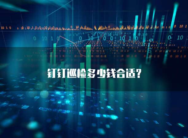 钉钉巡检多少钱合适？