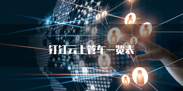 钉钉云上管车一览表