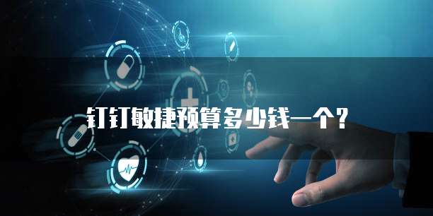 钉钉敏捷预算多少钱一个?