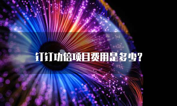 钉钉功倍项目费用是多少？