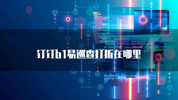 钉钉b1易巡查打折在哪里