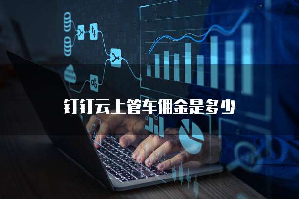 钉钉云上管车佣金是多少