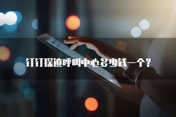 钉钉探迹呼叫中心多少钱一个？