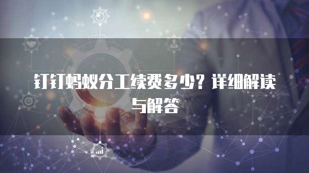 钉钉蚂蚁分工续费多少?详细解读与解答