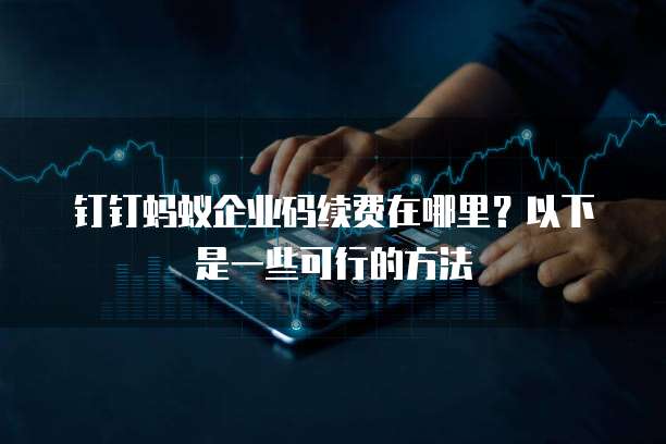 钉钉蚂蚁企业码续费在哪里？以下是一些可行的方法