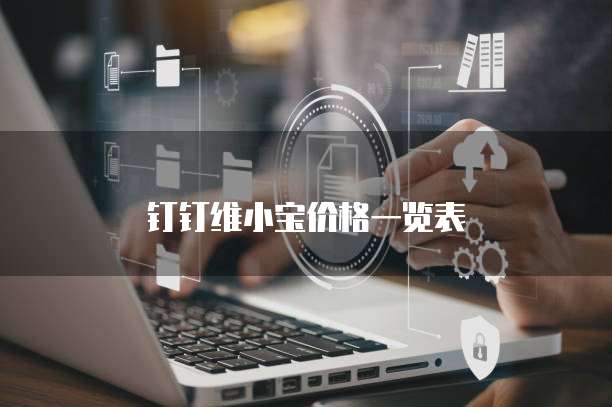 钉钉维小宝价格一览表