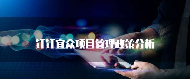 钉钉宜众项目管理政策分析