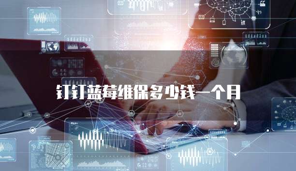钉钉蓝莓维保多少钱一个月