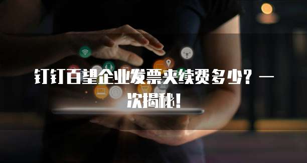 钉钉百望企业发票夹续费多少?一次揭秘!