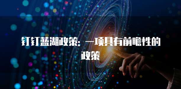 钉钉蓝湖政策: 一项具有前瞻性的政策