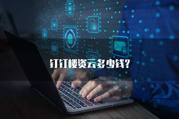 钉钉楼资云多少钱?