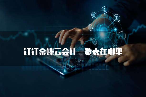 钉钉金蝶云会计一览表在哪里