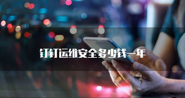 钉钉运维安全多少钱一年