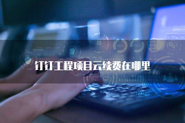 钉钉工程项目云续费在哪里