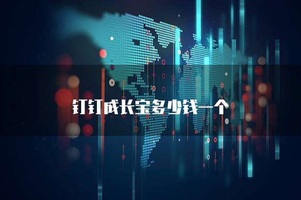钉钉成长宝多少钱一个