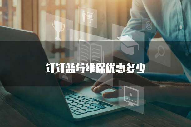 钉钉蓝莓维保优惠多少