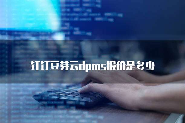 钉钉豆芽云dpms报价是多少