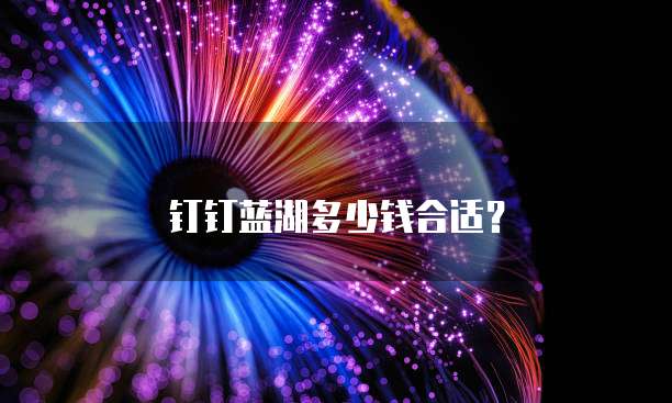 钉钉蓝湖多少钱合适?