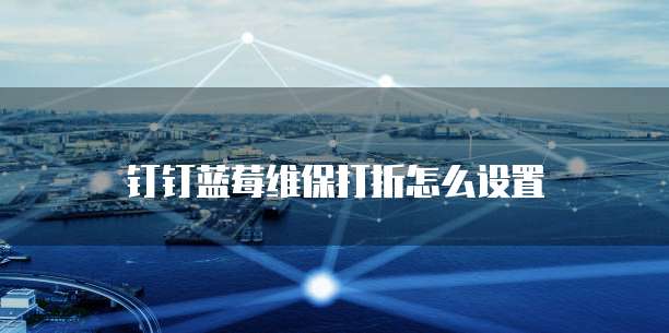 钉钉蓝莓维保打折怎么设置