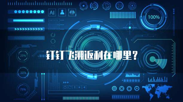 钉钉飞溯返利在哪里?